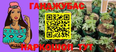 СК Будённовск