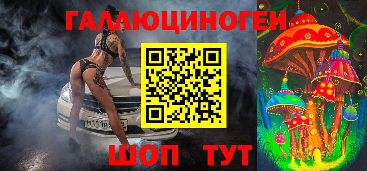 Соликамск  Псилоцибиновые грибы Psilocybine cubensis  Вход с VPN 